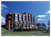 Natural Hot Spring Chateraise (Chateraise Golf and Spa Resort Hotel, Kuriyama)