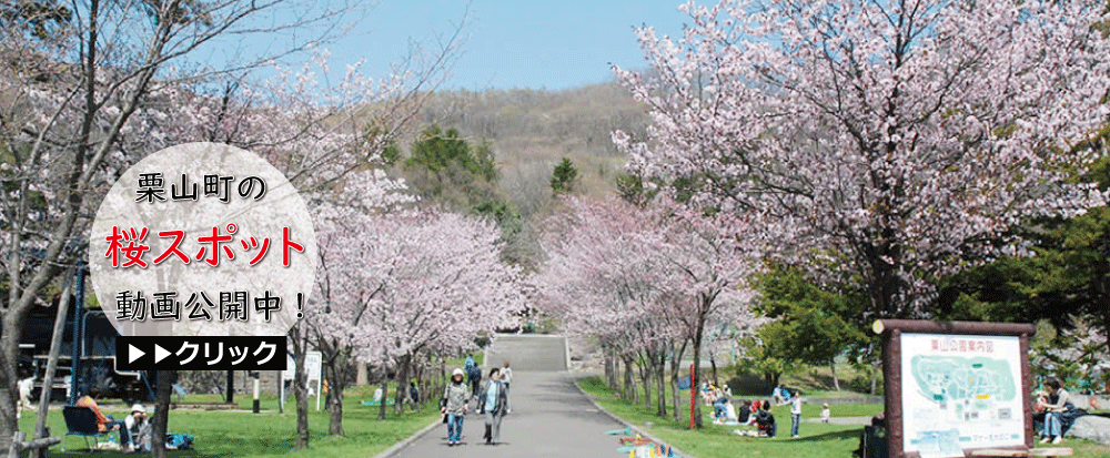 桜バナー