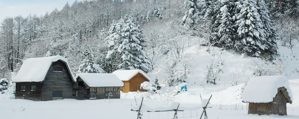 ハサンベツ雪景