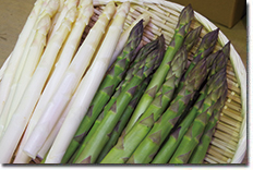 t_asparagus.jpg