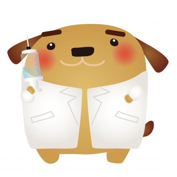 犬ドクター