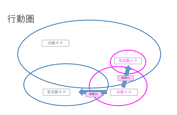 行動圏