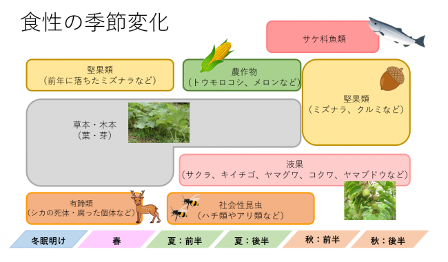 食性
