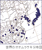 世界のオオムラサキ分布図