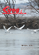 201804表紙.jpg