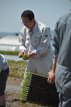 田植え体験ツアー.jpg
