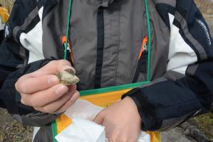 継立小学校児童が自然体験学習