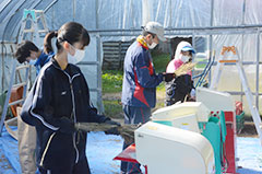 脱穀と焼き芋づくりに挑戦＊ふる里山くり山の米づくり