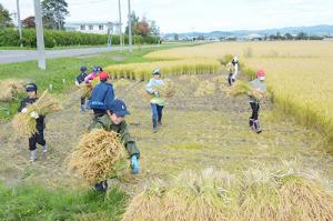 米づくりの道具を学ぶ＊角田小学校で稲刈り