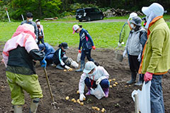 里山の収穫体験＊栗山キッズクラブ