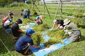 稲刈りとキノコ観察を実施＊ふる里山くり山の米づくり