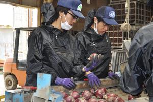 東京大学の学生らが栗山町で農業体験合宿