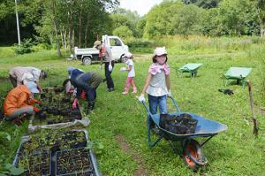 里山の材木を薪に＊ハサンベツ里山作業日