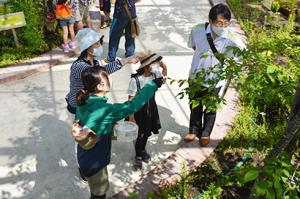 きれいな紫色をしっかり観察＊オオムラサキ館で成虫観察会