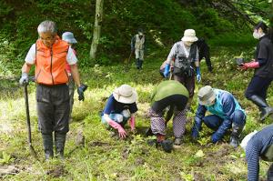 来年の開花に向け湿原の花を植栽＊ハサンベツ里山作業日