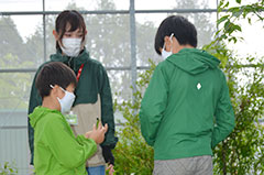 オオムラサキへの理解深めて＊オオムラサキ館で幼虫観察会