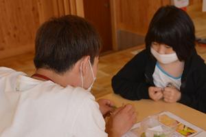 きれいなチョウを育てて＊オオムラサキ館「おうちで子ども飼育員」