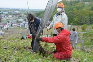 3年後の収穫を楽しみに＊栗の木の植樹活動