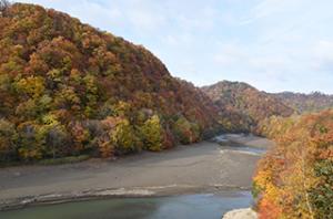 見ごろを迎えています＊町内紅葉情報
