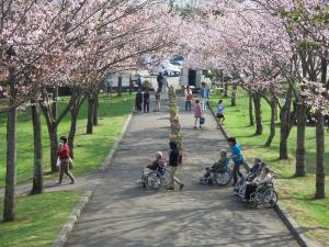 公園