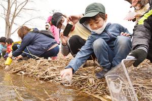 ふるさとの川へ帰る姿を願って＊サケ稚魚放流会