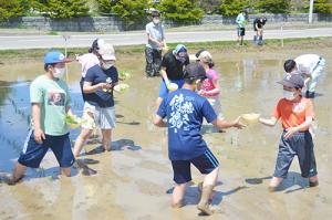 秋の収穫を楽しみに＊継立小学校で田植え体験