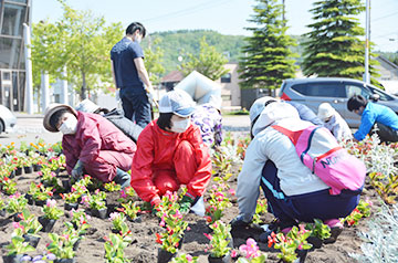 心を癒す花を植栽＊栗山駅前花壇づくり