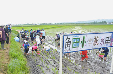 2年ぶりの田植えに＊角田小学校で田植え体験