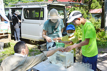 農作業と生きもの観察を実施＊ふる里山くり山の米づくり