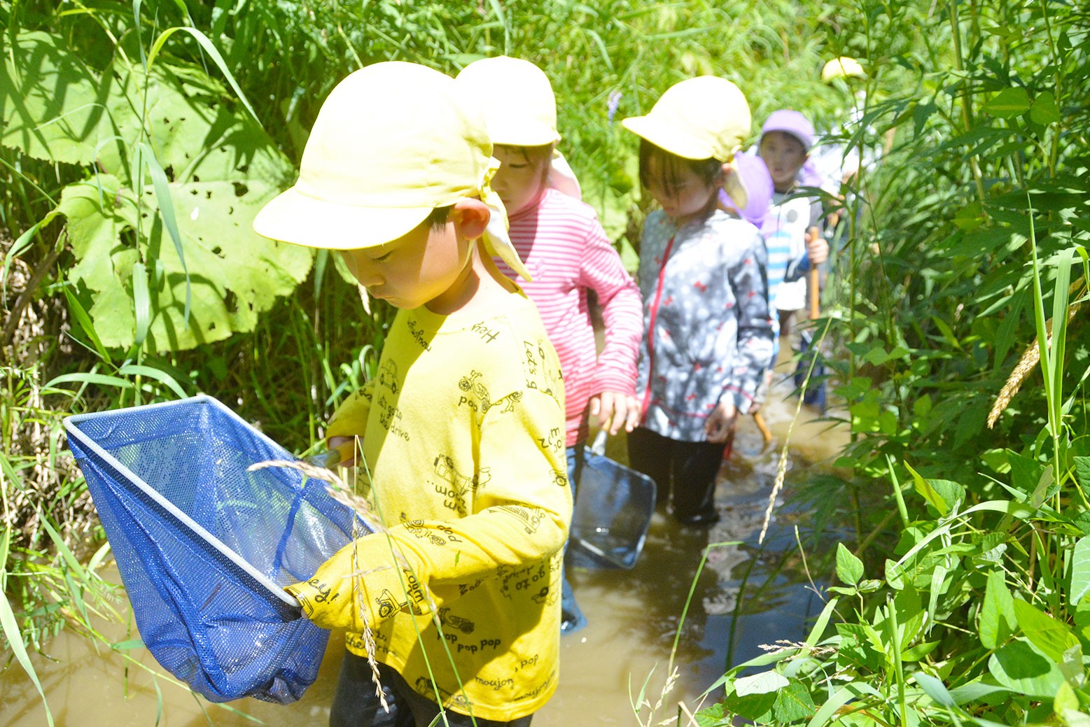 里山の風景を肌で感じる＊栗山めぐみこども園園児が自然体験