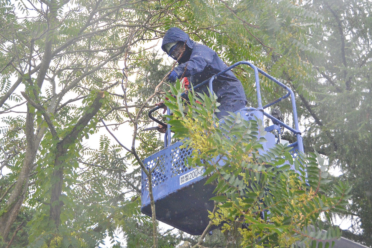 校舎周辺をきれいに整備＊日成建設が社会貢献活動