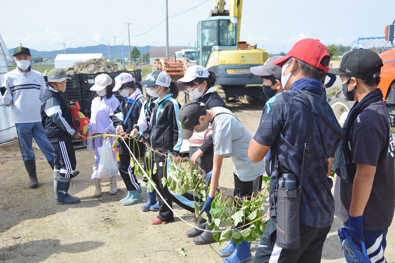 春に植えた成果を発掘＊小学校農業体験学習