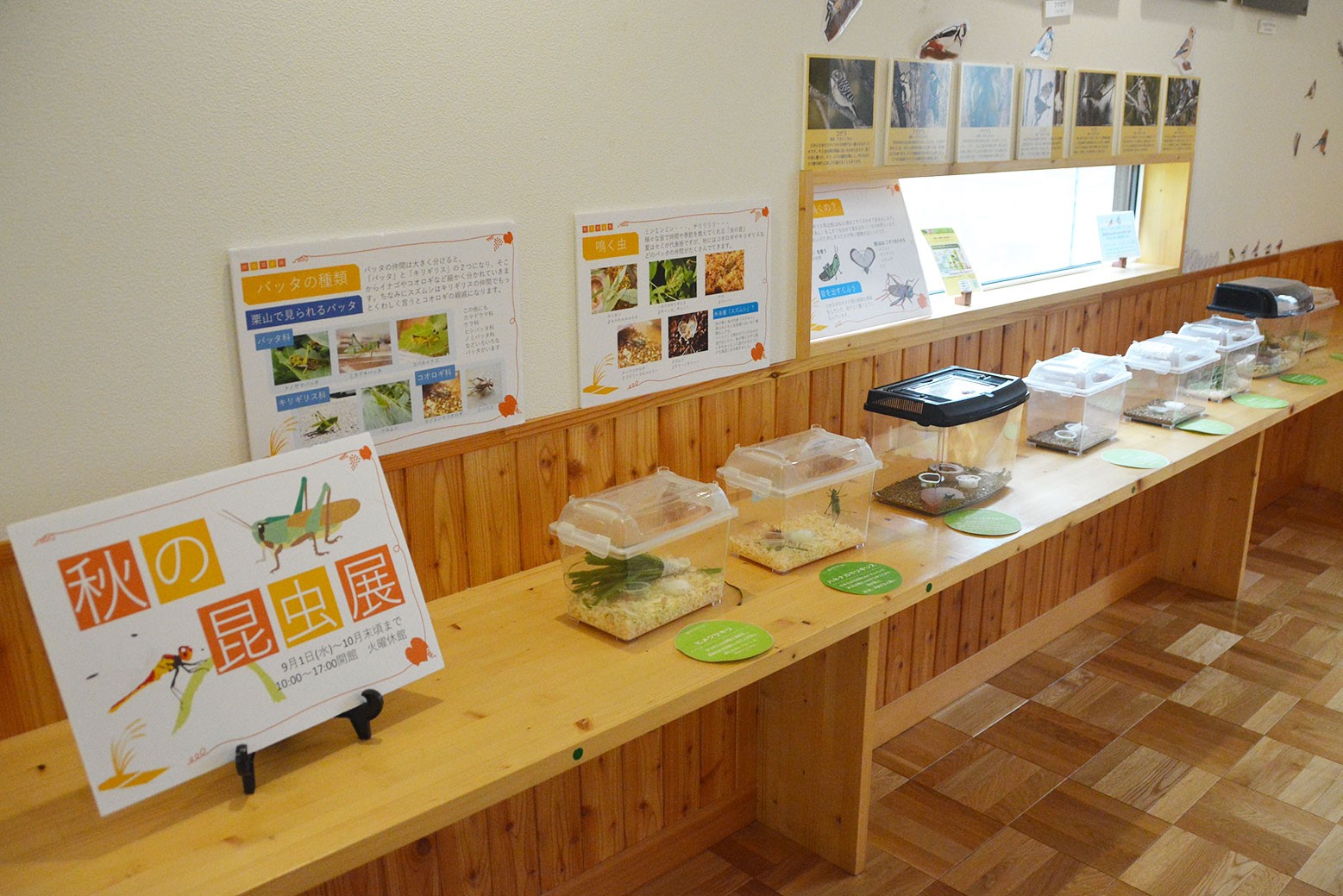昆虫展とフォトコン作品展＊オオムラサキ館で10月末まで