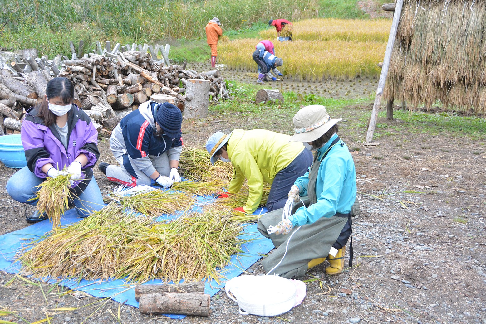 来年を見据えた里山整備を＊ハサンベツ里山作業日