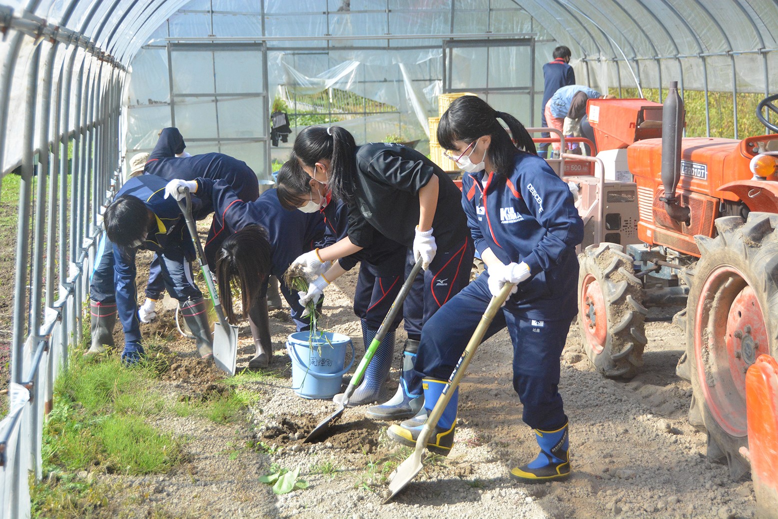 肌で感じるハサンベツの自然＊栗山高校生が自然体験学習