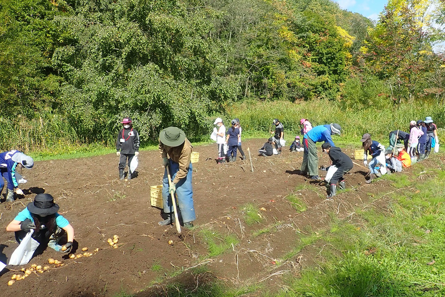 秋の味覚の収穫祭＊栗山キッズクラブ