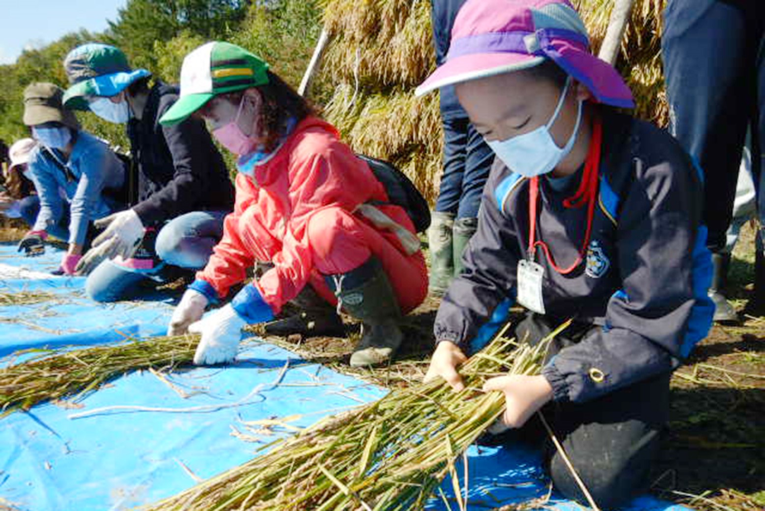 秋の味覚の収穫祭＊栗山キッズクラブ