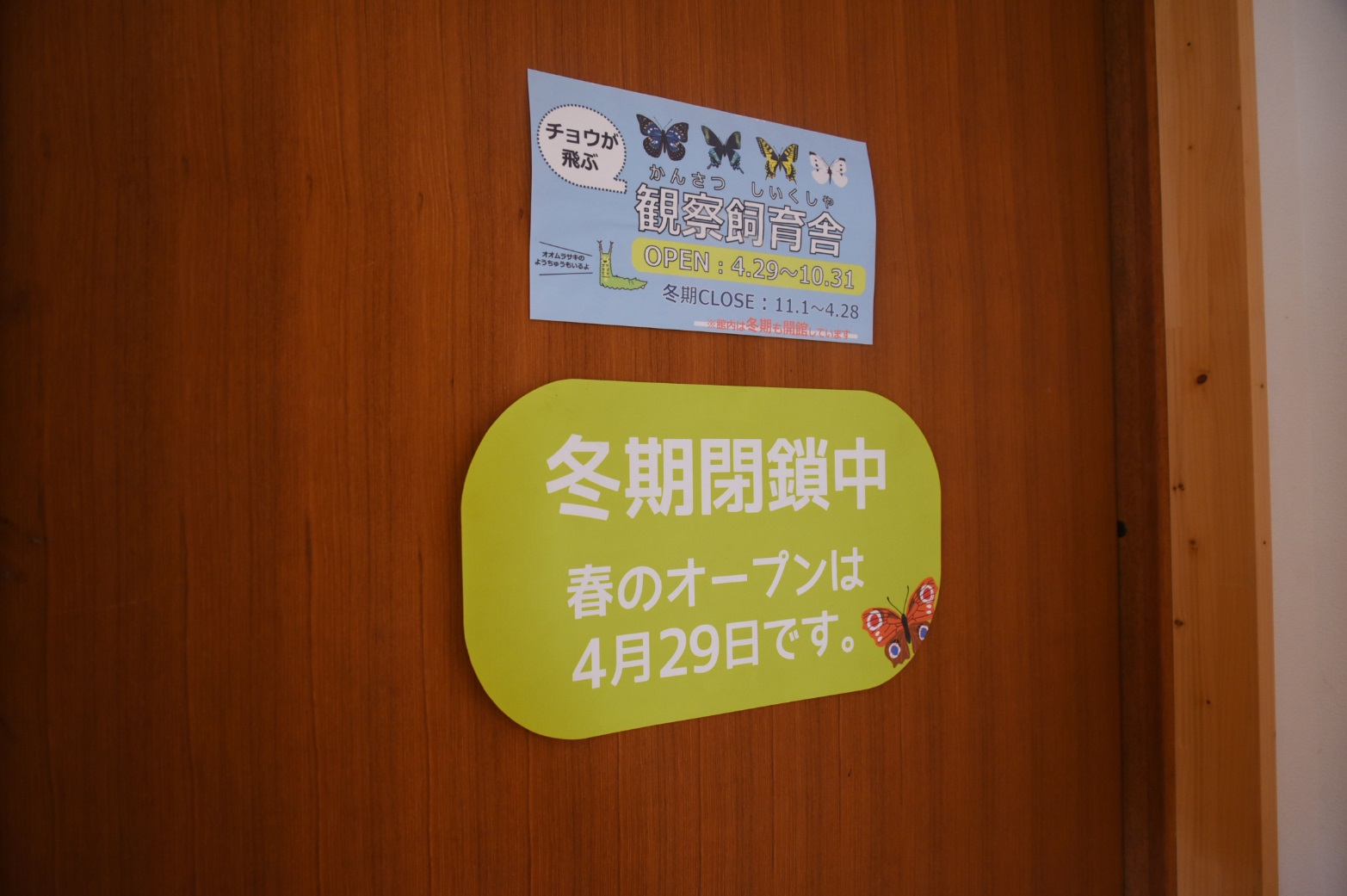 ４