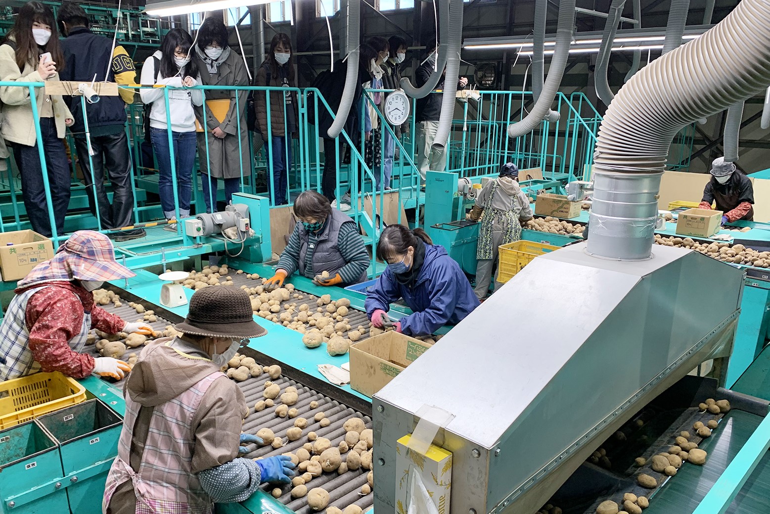 実地で学ぶ農業＊北海道大学農学部が農村調査実習