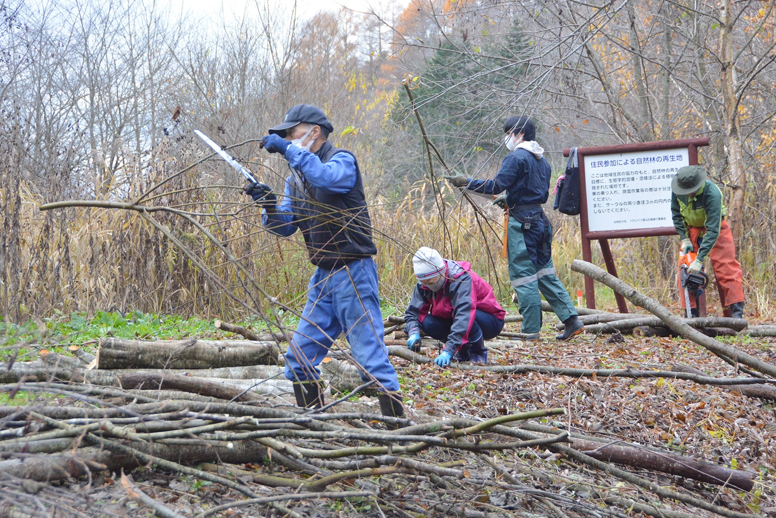 倒木も木炭として活用＊ハサンベツ里山作業日