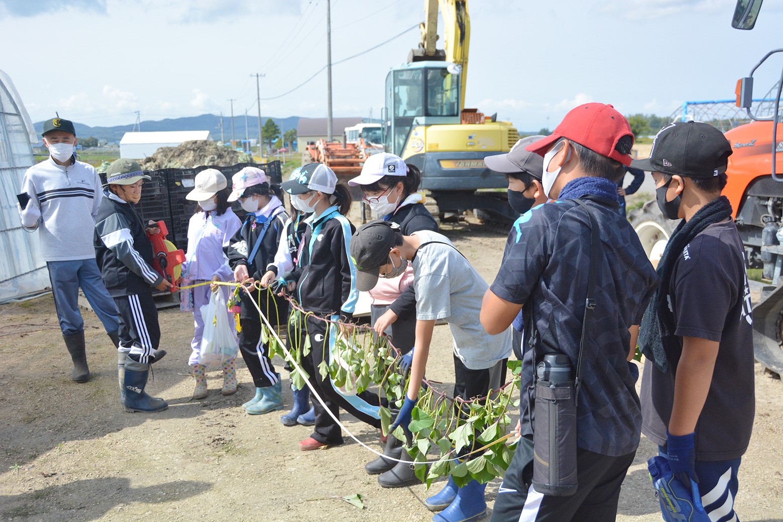 「由栗いも」とは？