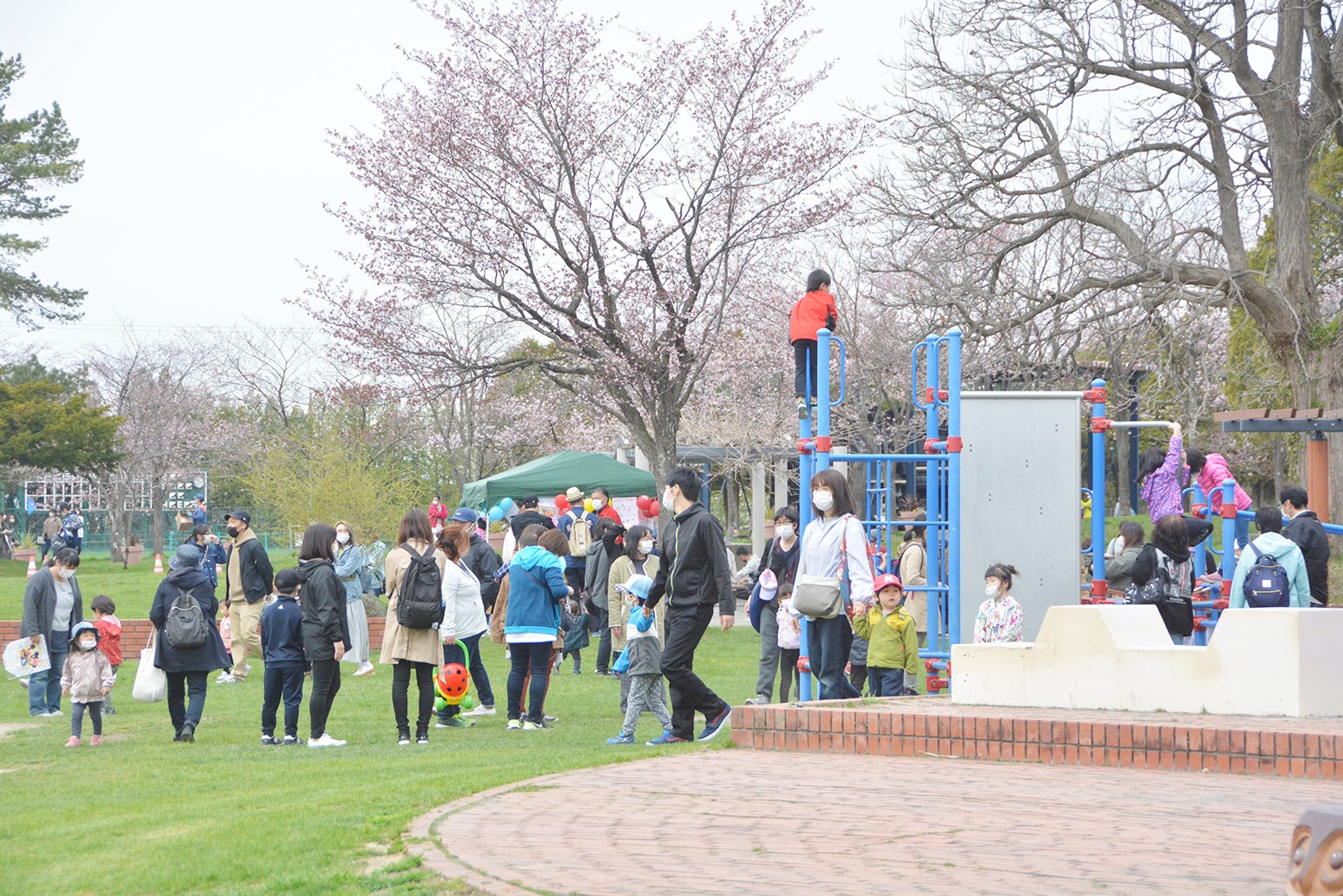 春の公園開き＊栗山公園でオープン記念イベント