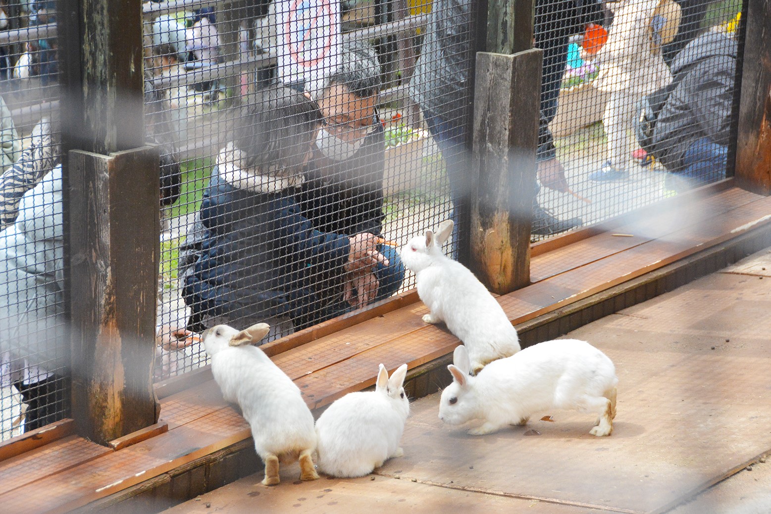 春の公園開き＊栗山公園でオープン記念イベント