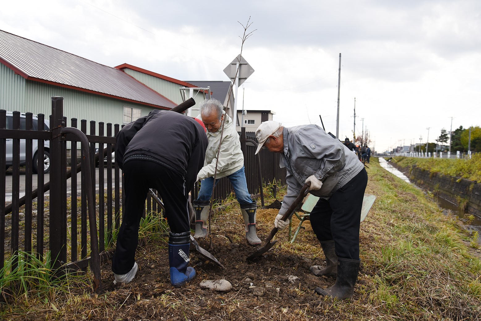 緑豊かな地域の環境づくり＊朝日・湯地中央地域まちづくり協議会で桜植樹