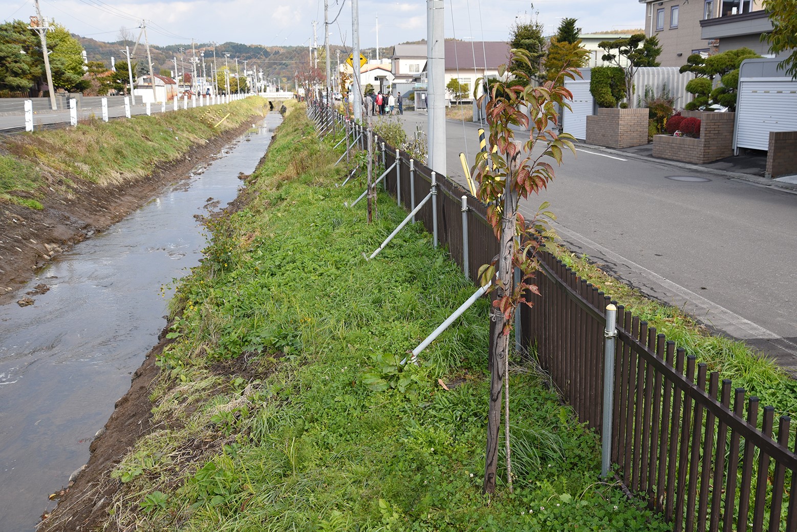 緑豊かな地域の環境づくり＊朝日・湯地中央地域まちづくり協議会で桜植樹