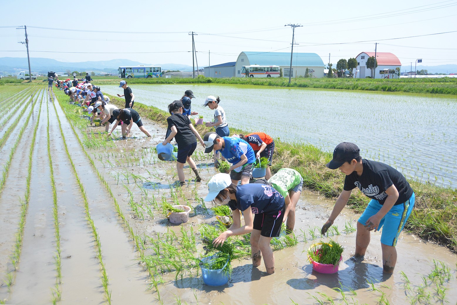 秋の収穫目指して＊栗山小学校で田植え体験