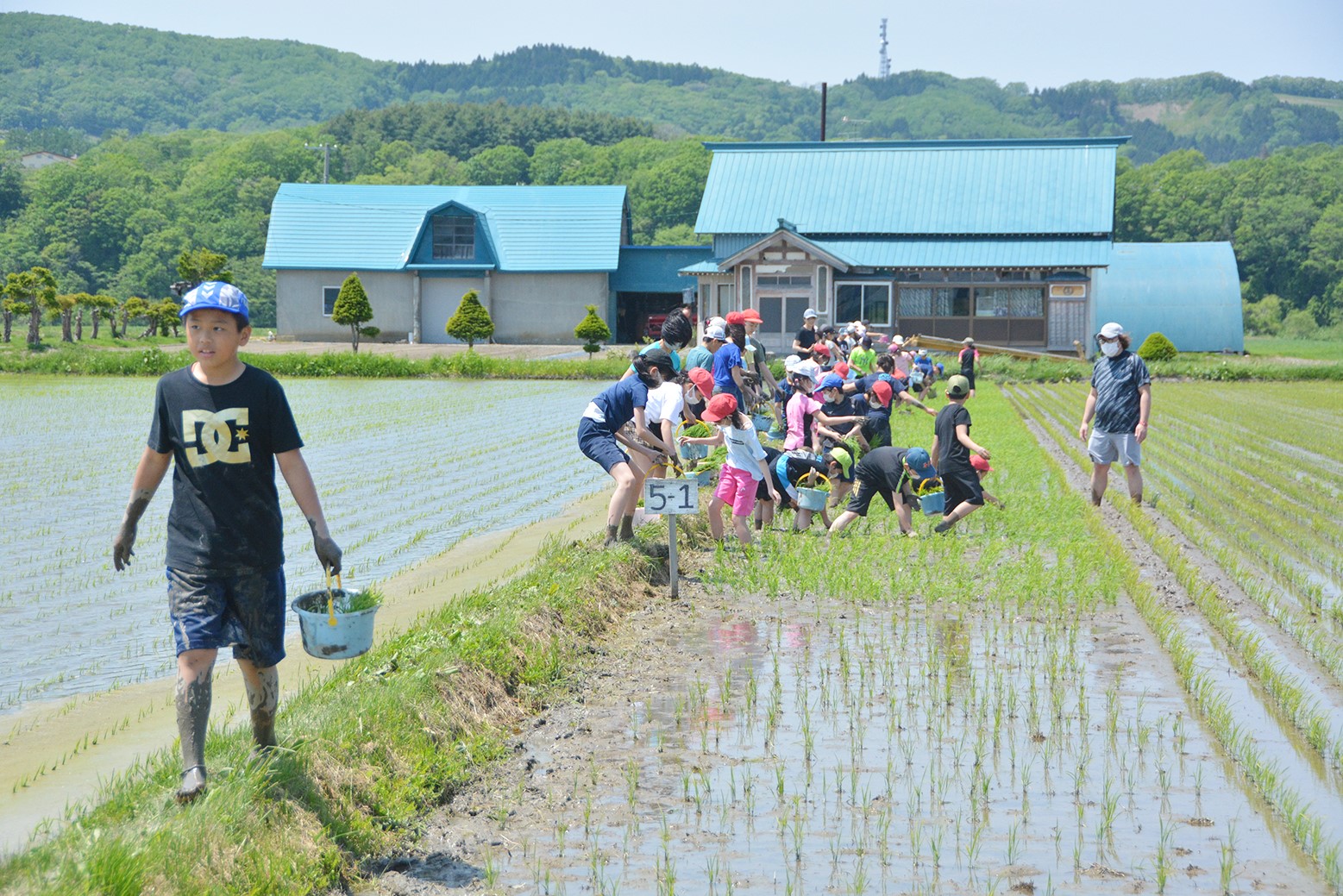 秋の収穫目指して＊栗山小学校で田植え体験