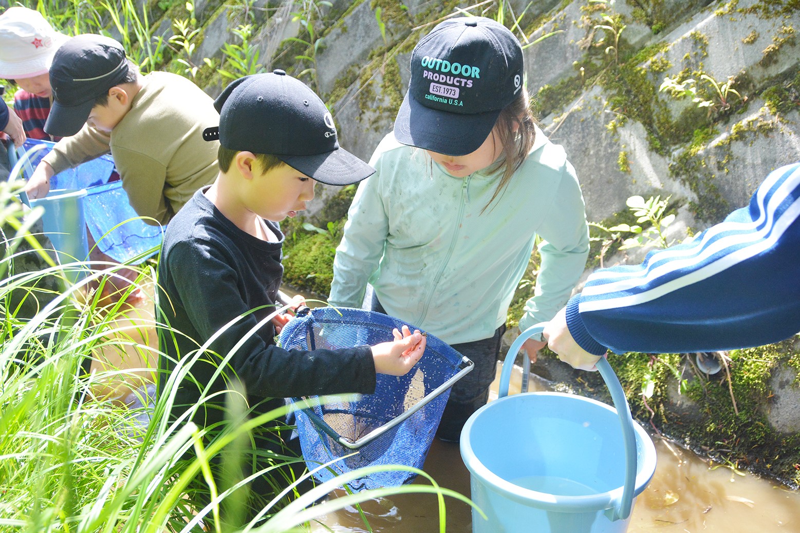 生きもの探して川を上る＊継立小学校1・2年生ネイチャーハイク