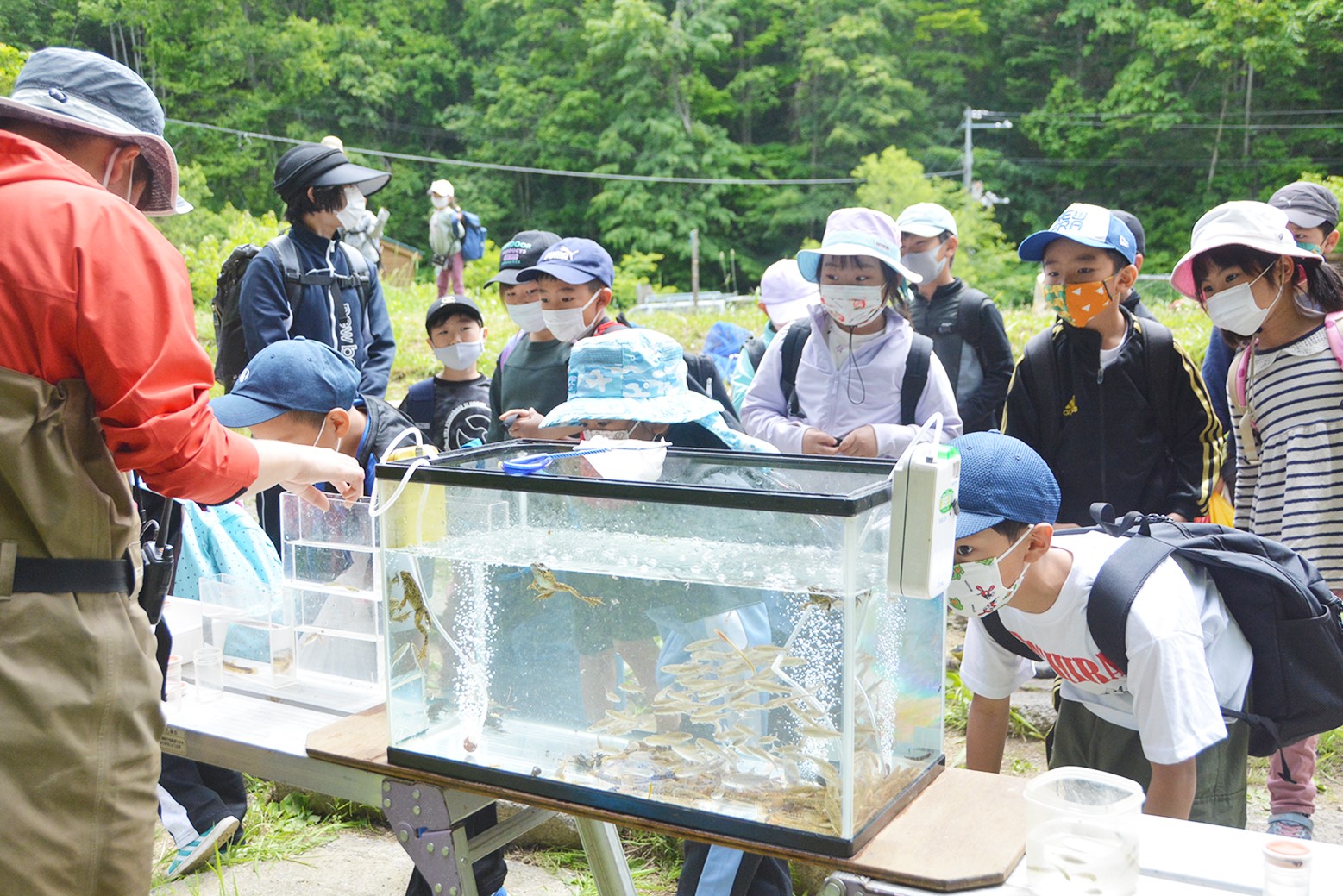 生きもの探して川を上る＊継立小学校1・2年生ネイチャーハイク