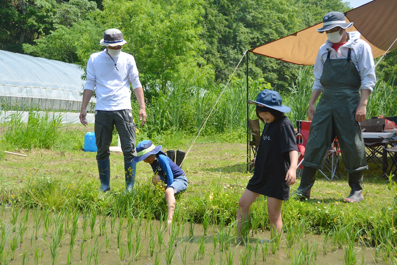水田整備と生きもの観察＊ふる里山くり山の米づくり